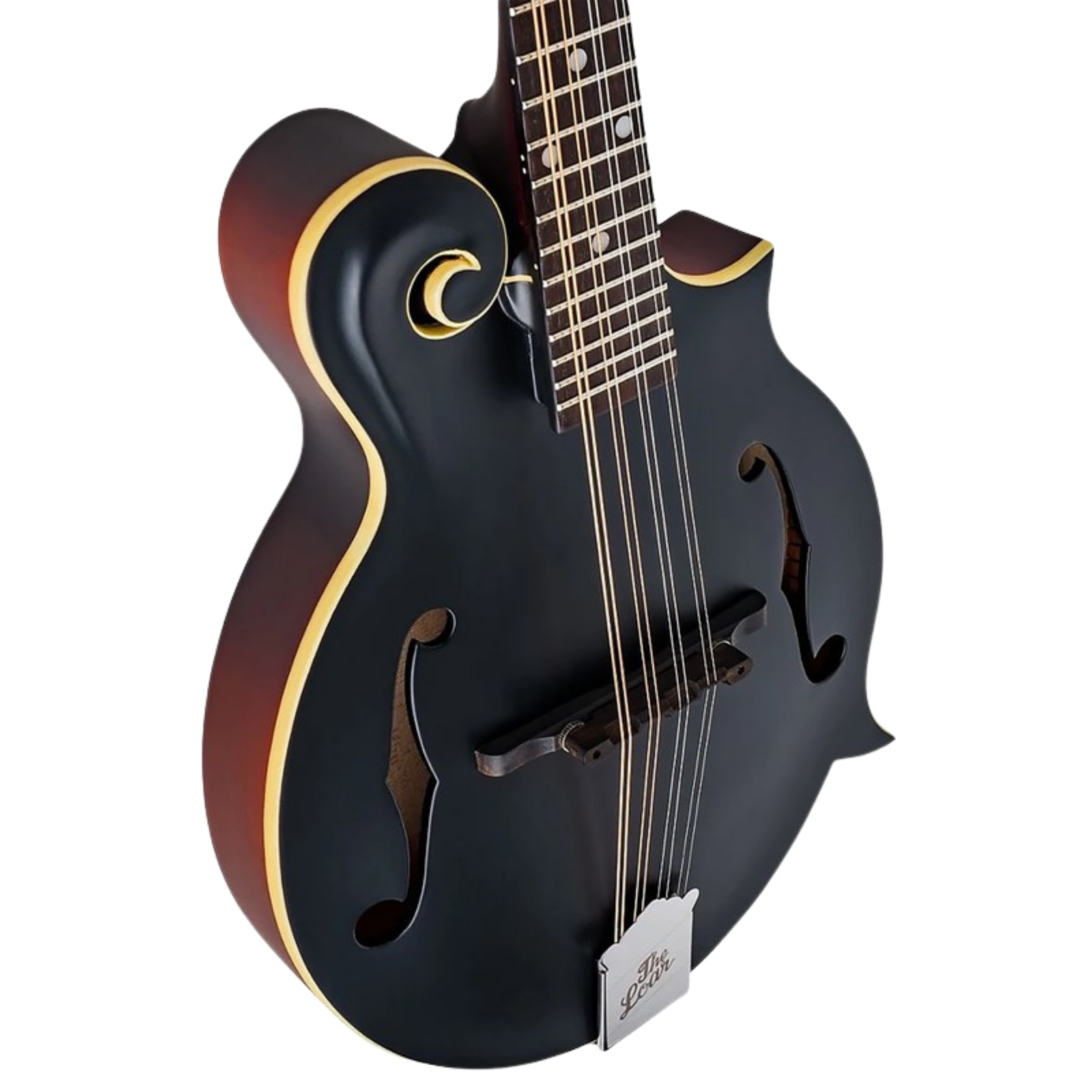 The Loar LM-549-BKM - Matte Black