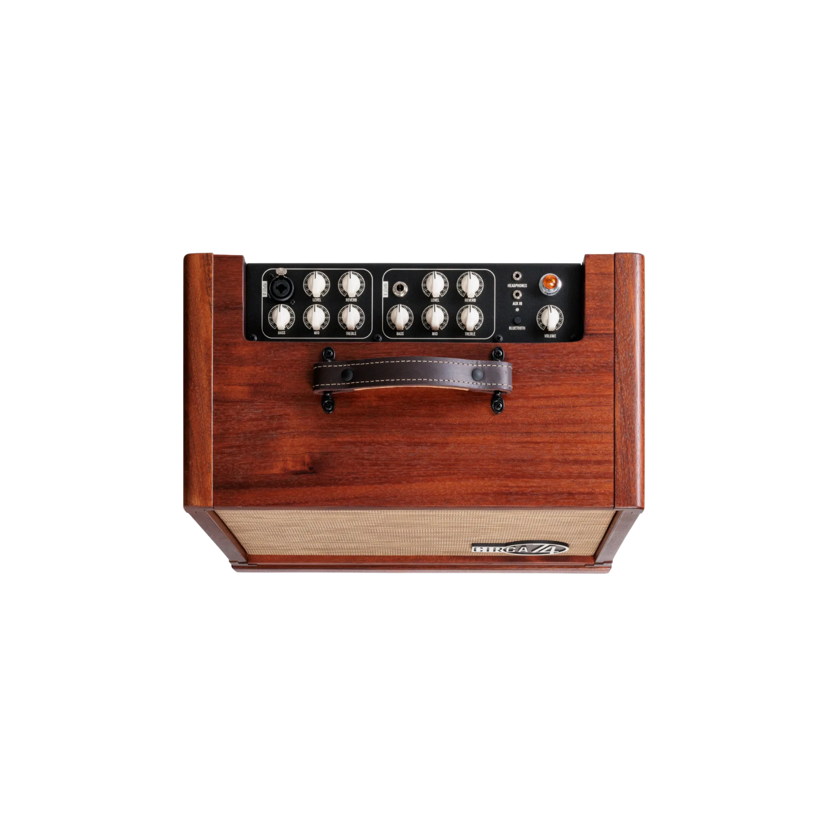 Taylor Circa 74 150-watt Acoustic Guitar and Vocal Amplifier