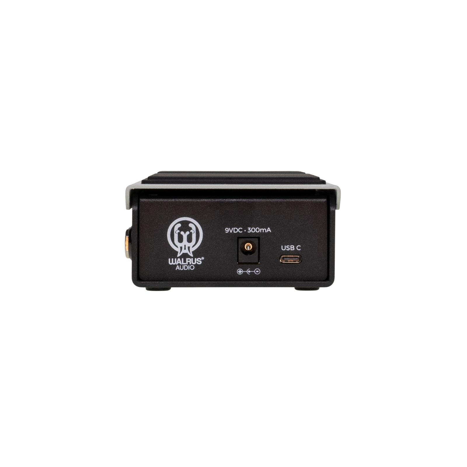Walrus Audio Canvas Expression