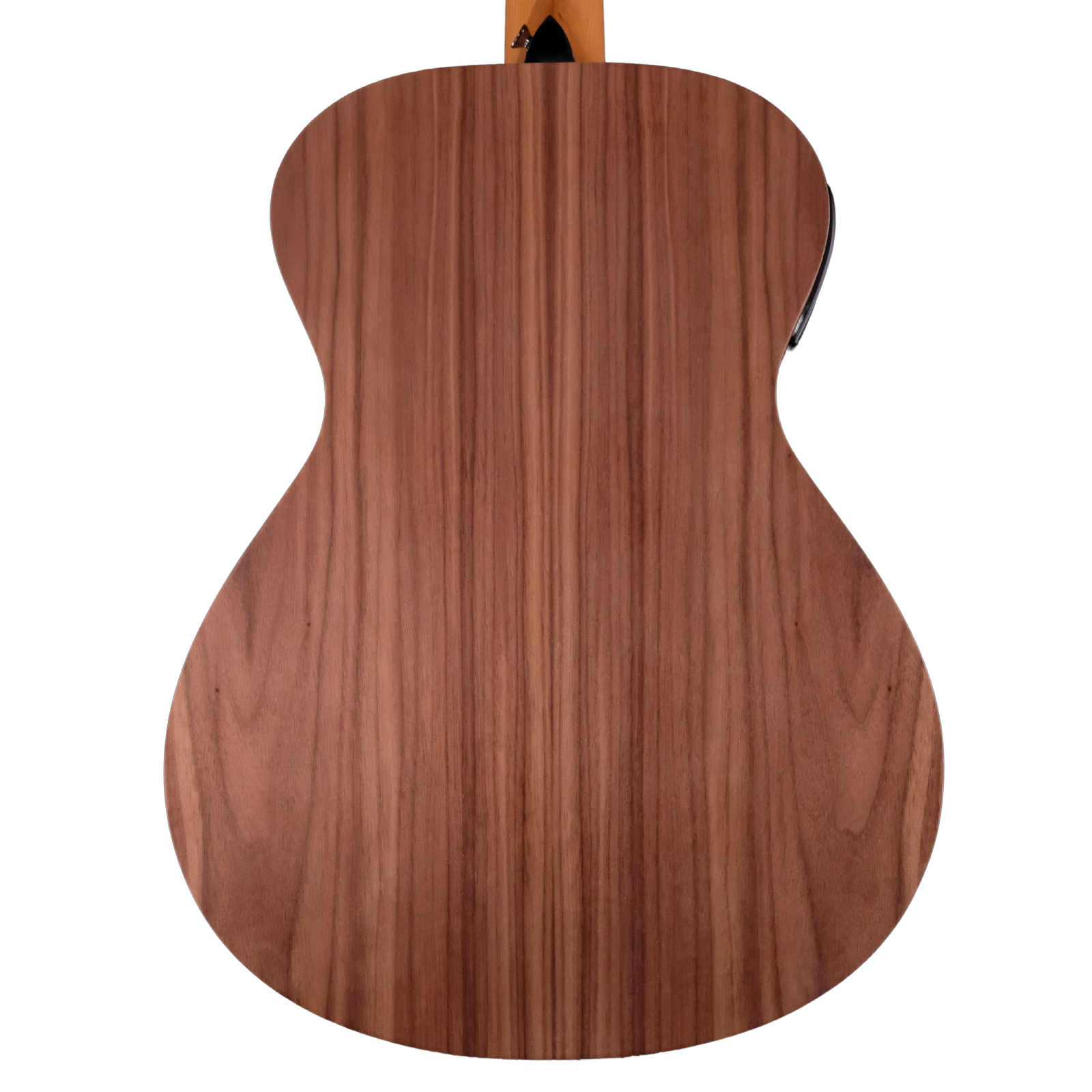 Taylor Academy 22e  Acoustic-Electric Guitar - Walnut Top