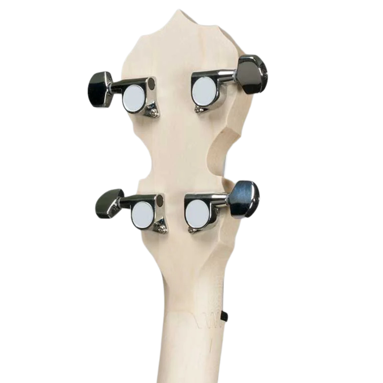 Deering Goodtime 5-String Banjo - Satin Natural