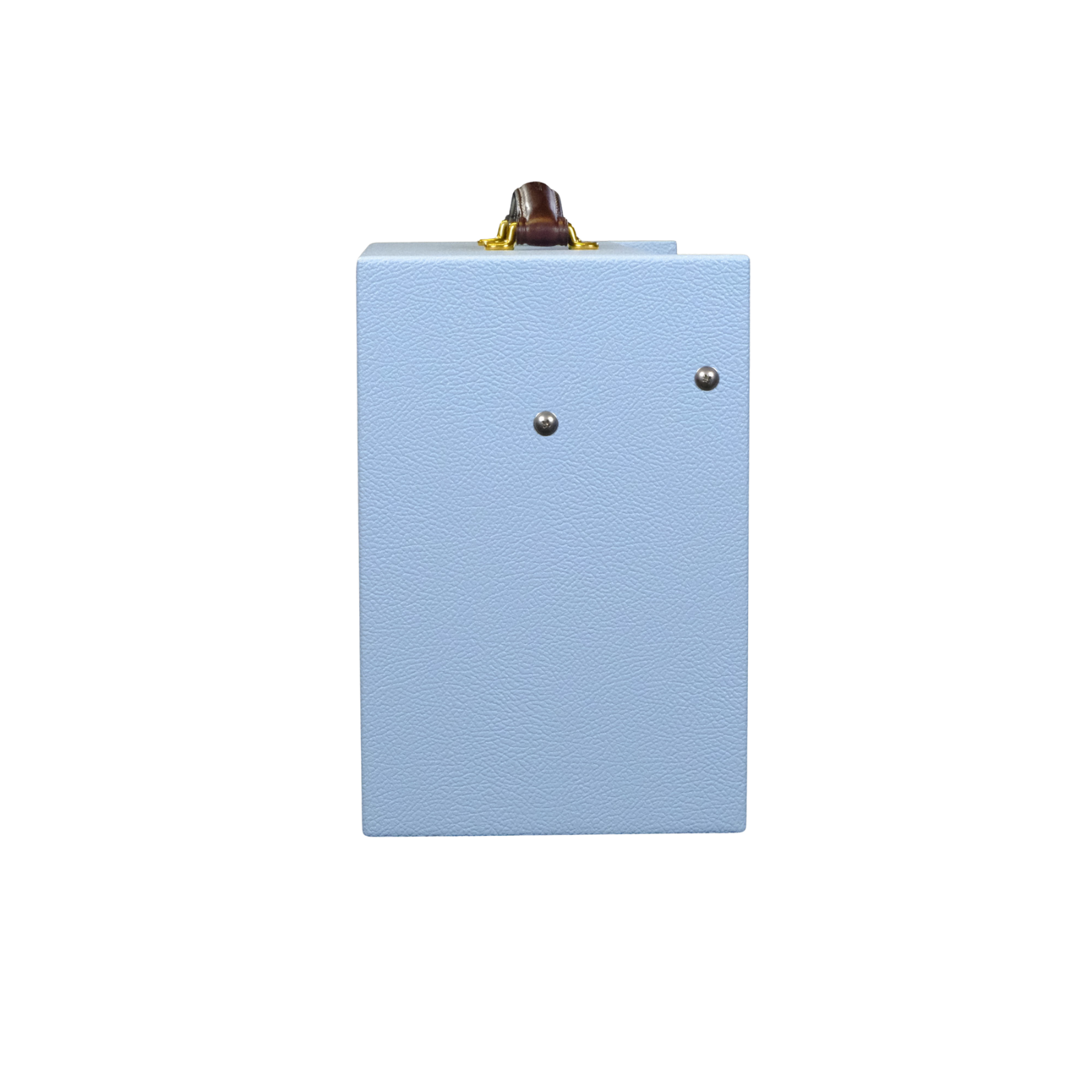 Magnatone Starlite 1x8 Combo w/ Reverb - Custom Color Carolina Blue