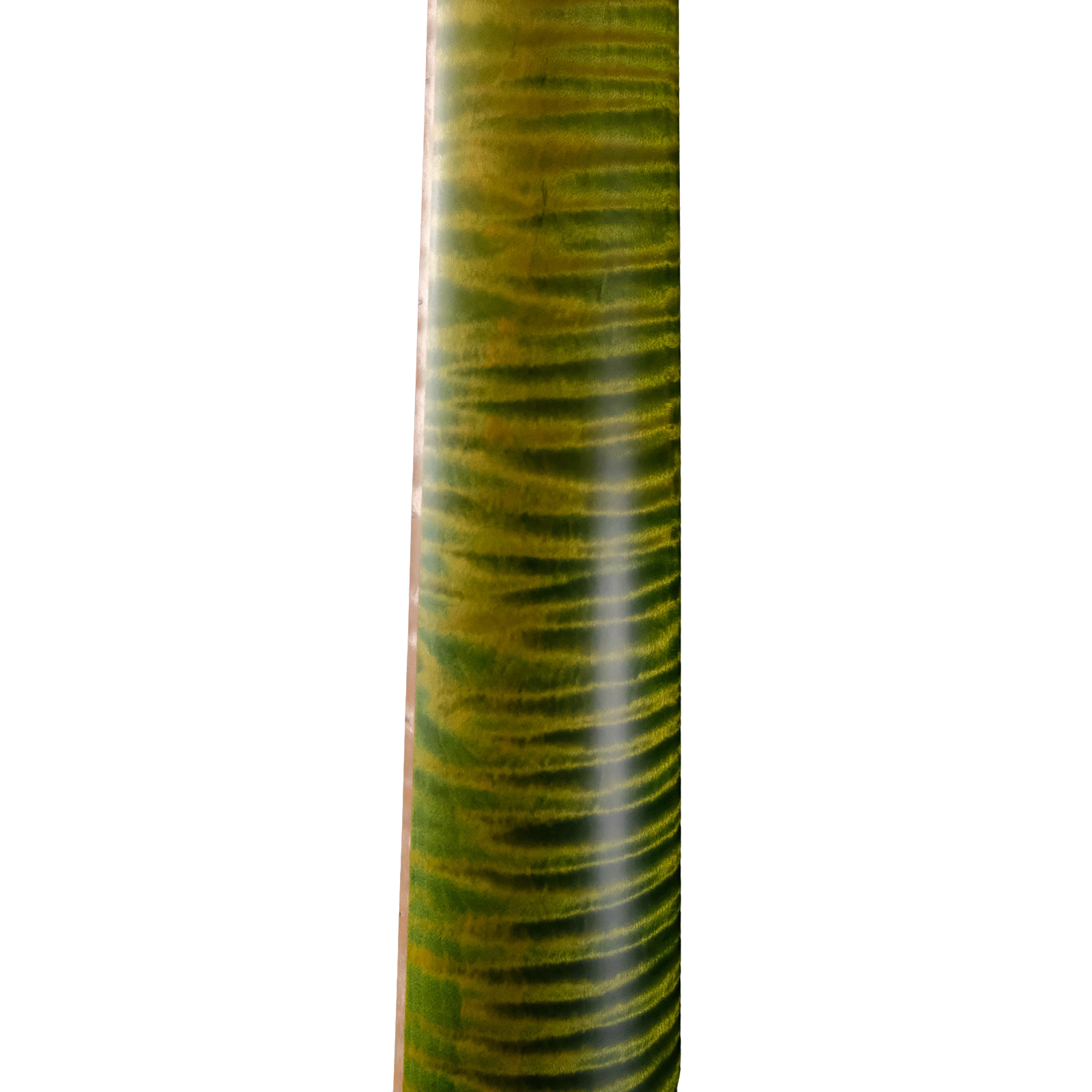 PRS Private Stock DGT "Curly Maple" - Rainforest Glow