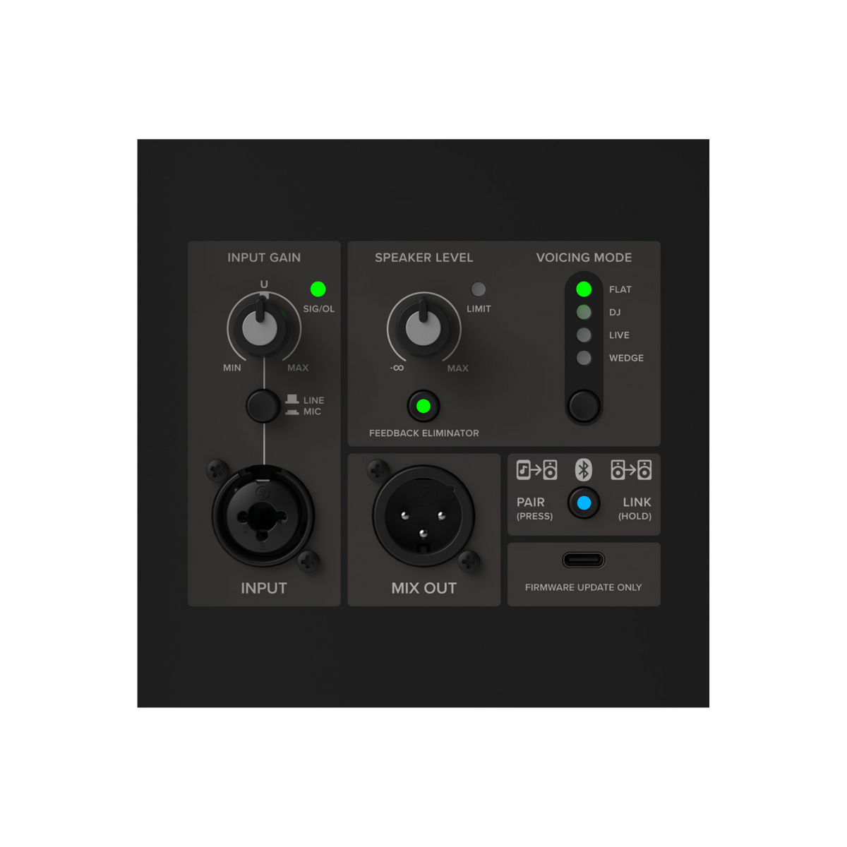 Mackie Thrash12v2