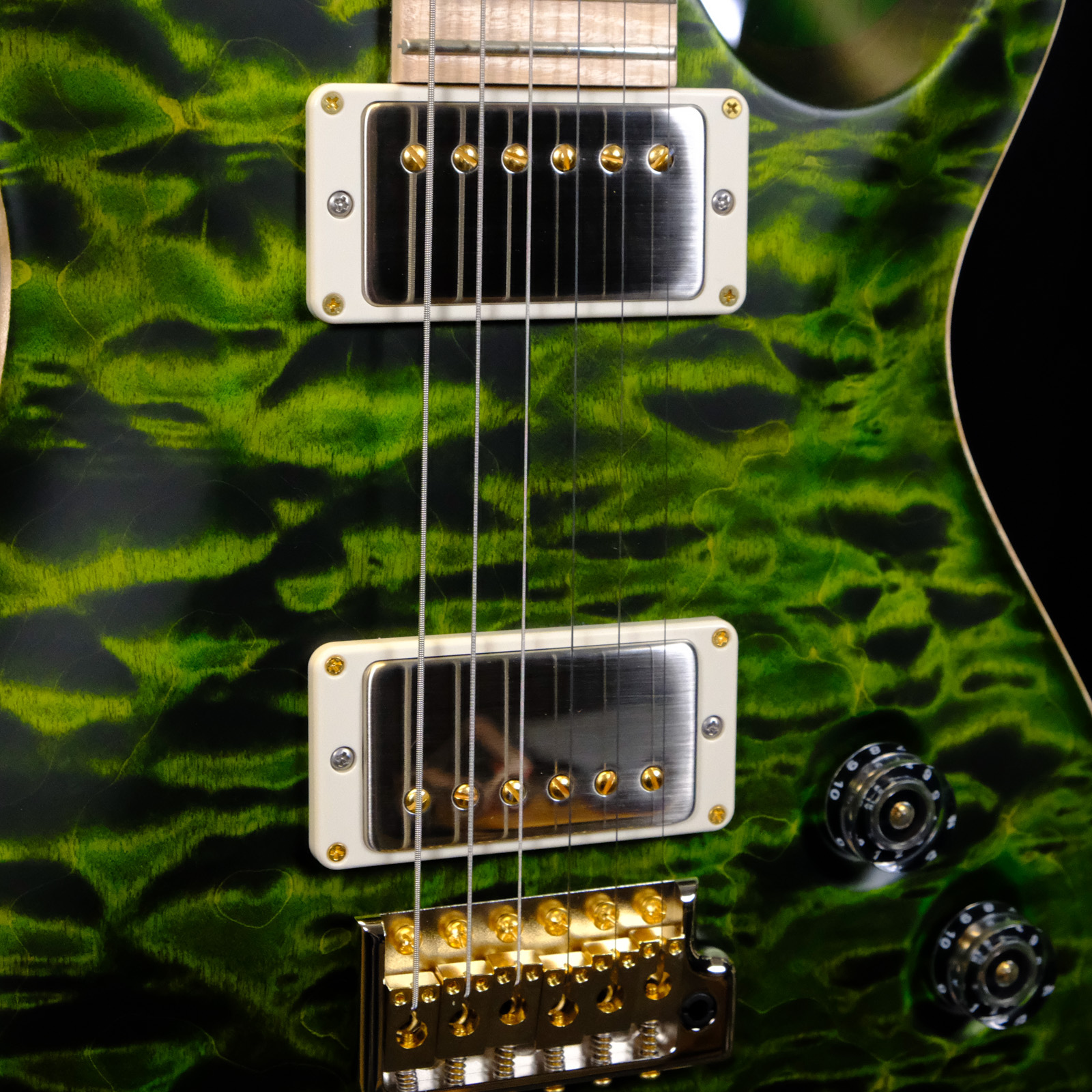 PRS Wood Library DGT Electric Guitar with Bird Inlays - Jade