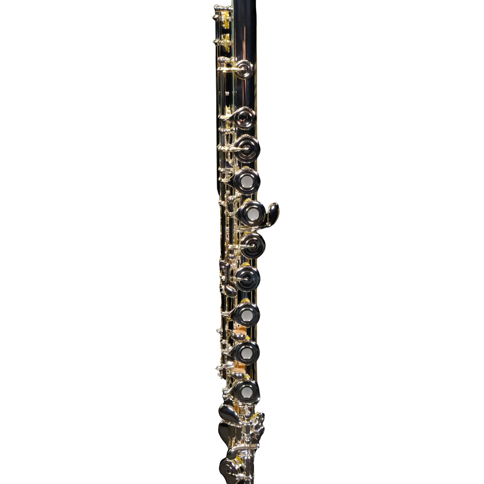 Di Zhao Intermediate Flute w/Solid Silver Headjoint - DZ601BOF