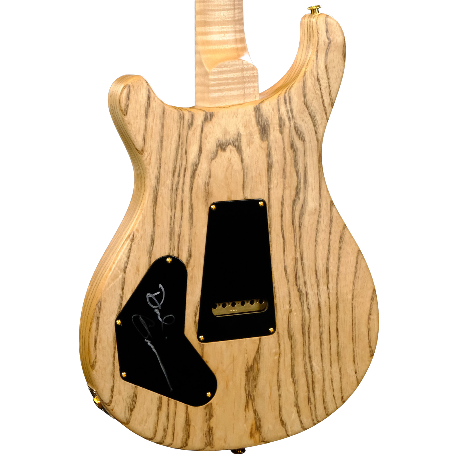 PRS Wood Library DGT Electric Guitar with Bird Inlays - Red Tiger