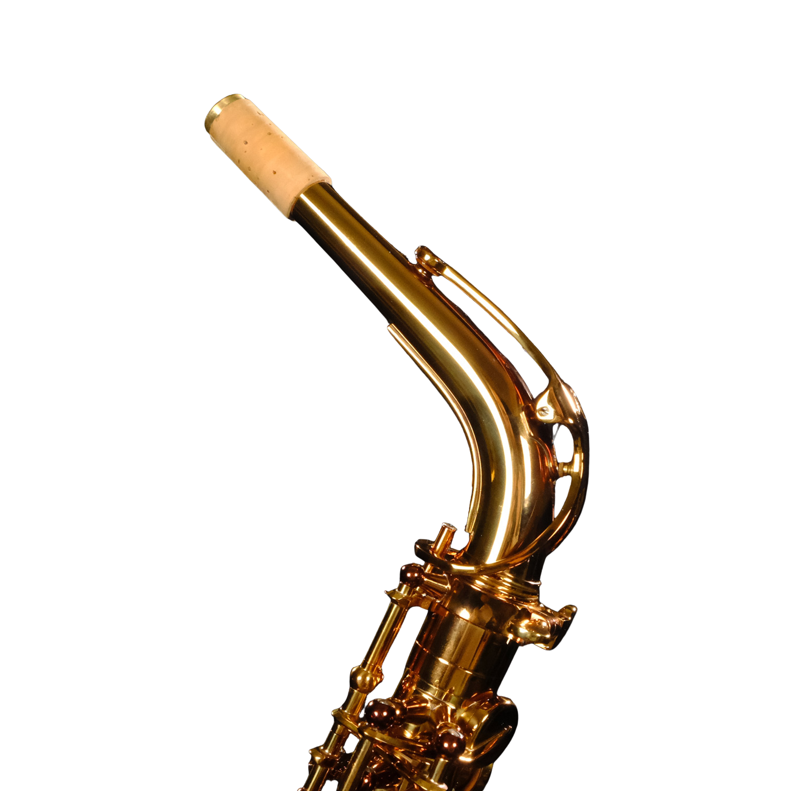Rampone & Cazzani Performance Series Alto Saxophone - RCPASL