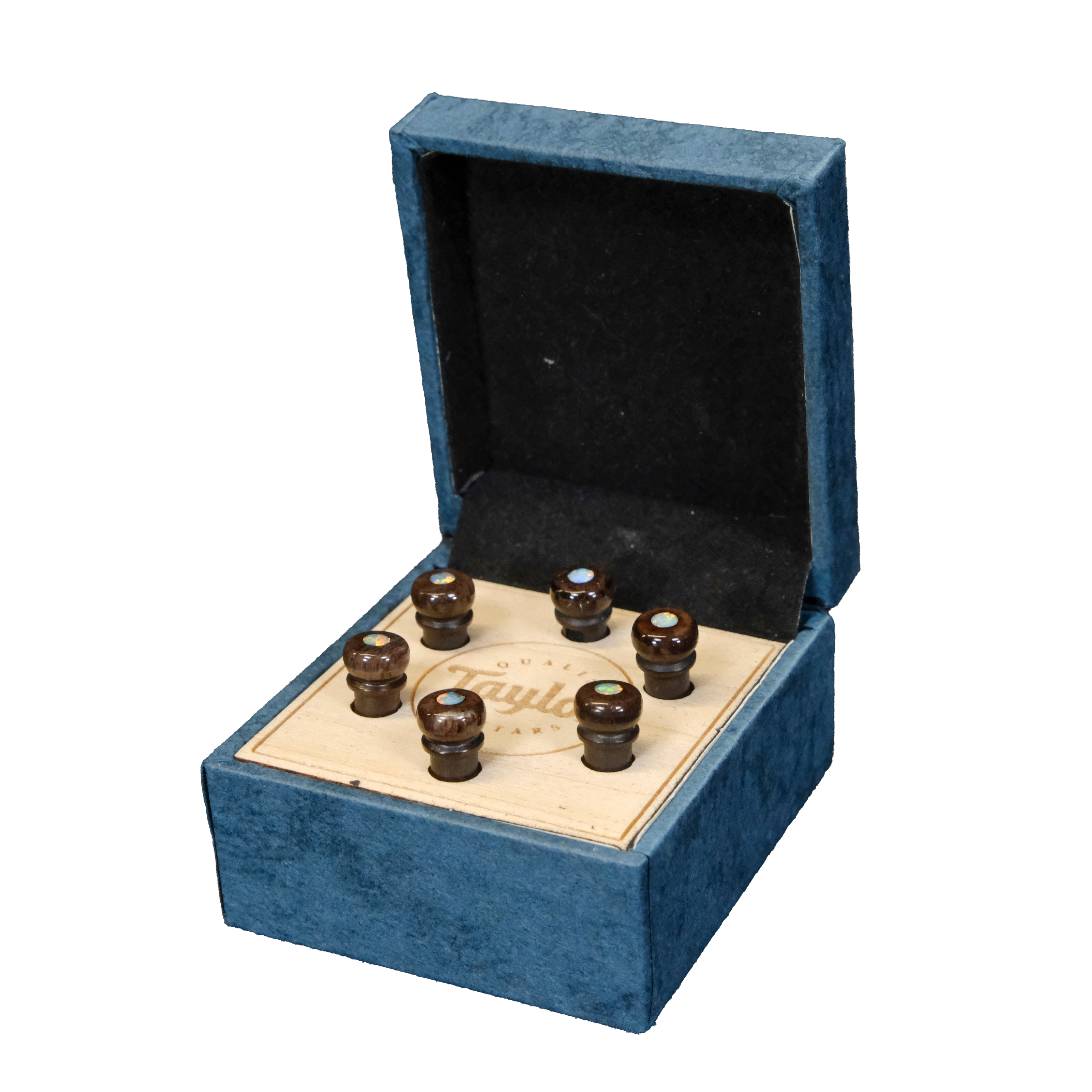 Taylor Water Buffalo Horn Bone Bridge Pin Set