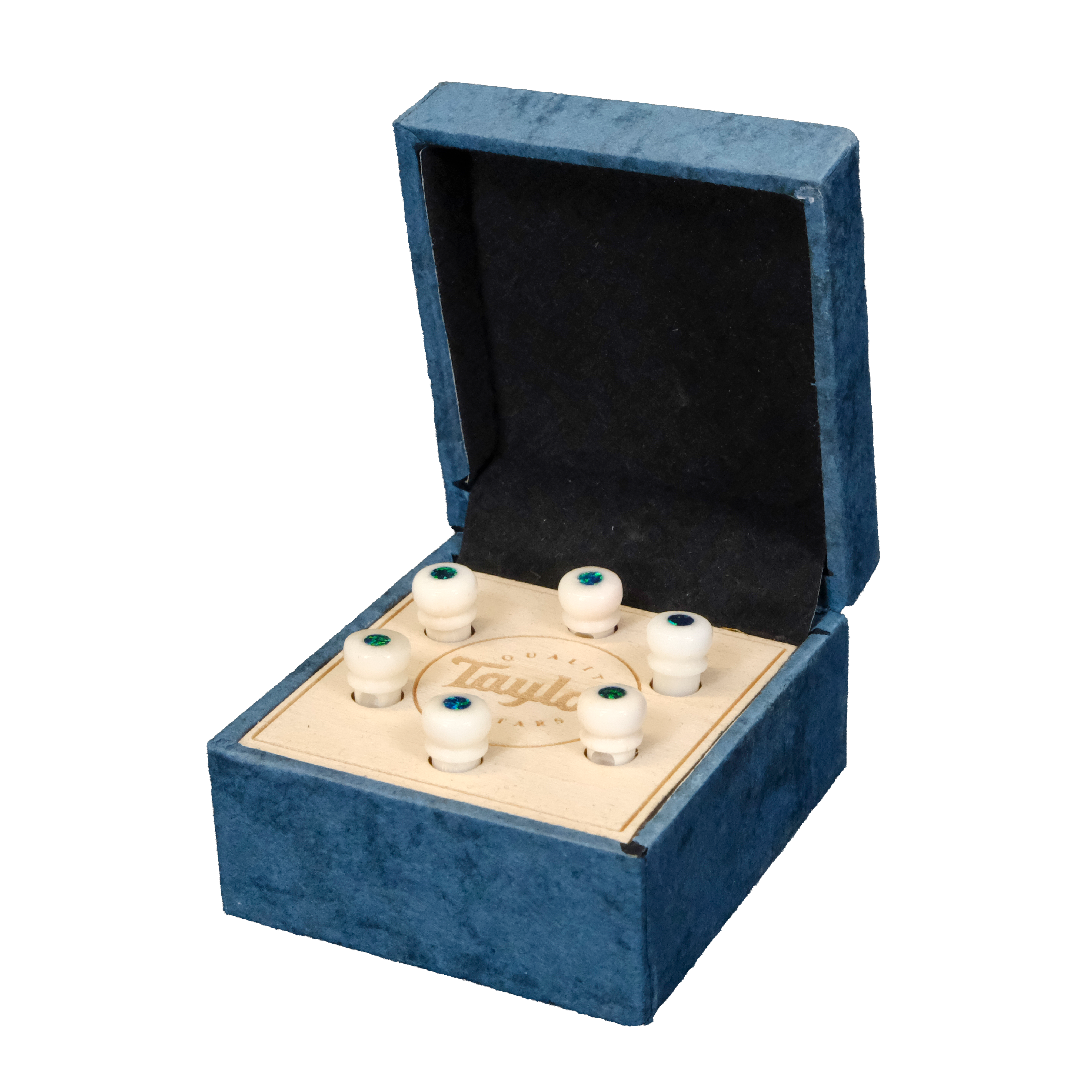 Taylor Water Buffalo Horn Bone Bridge Pin Set