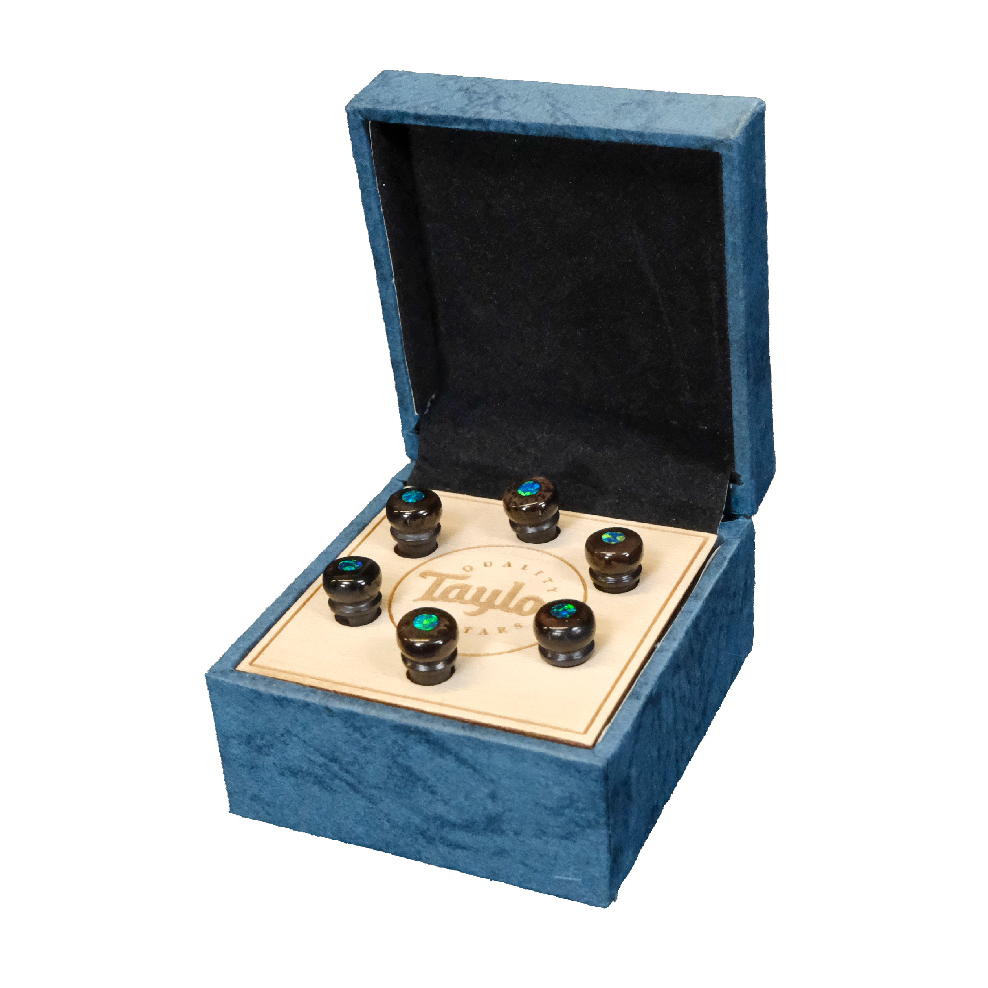 Taylor Water Buffalo Horn Bone Bridge Pin Set