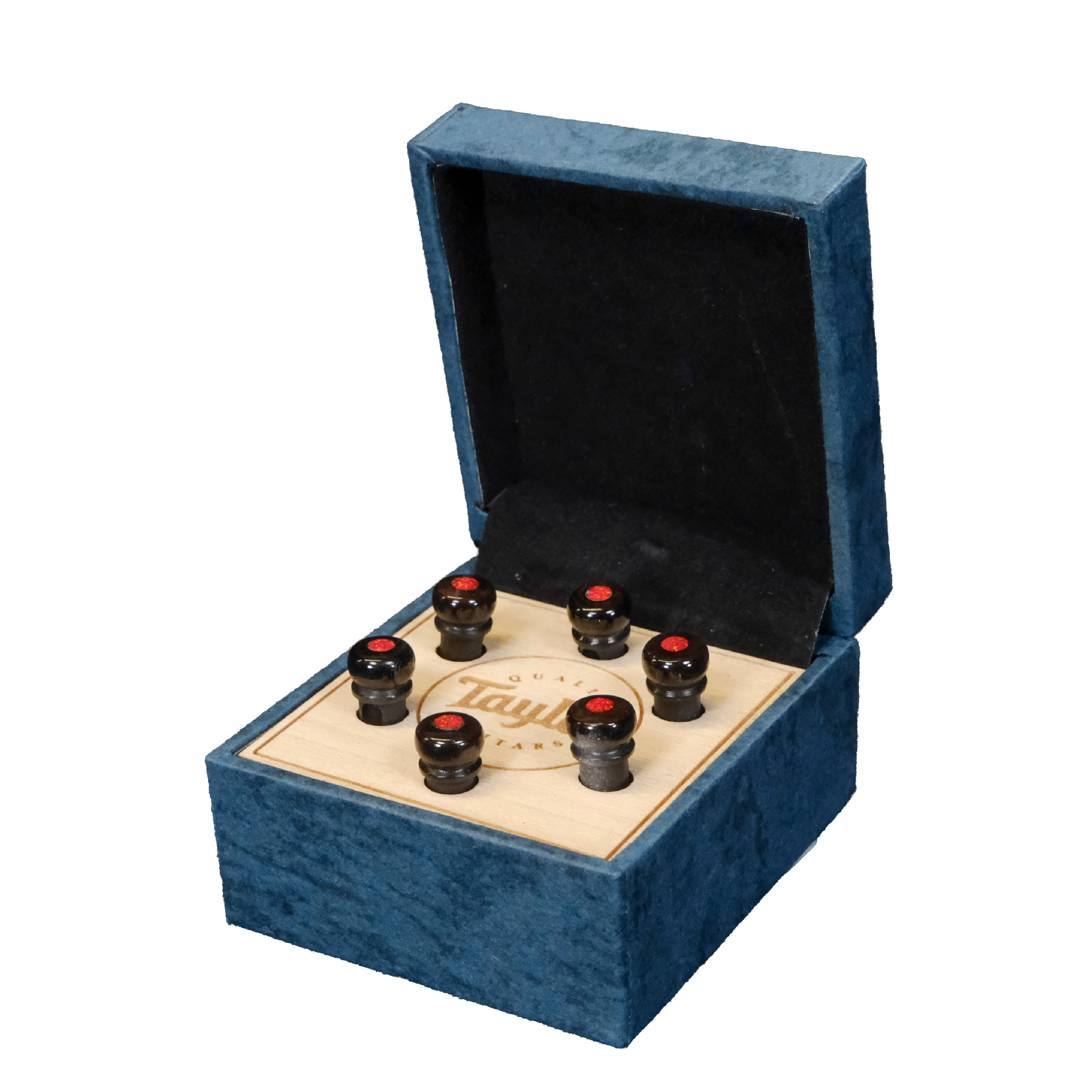 Taylor Water Buffalo Horn Bone Bridge Pin Set