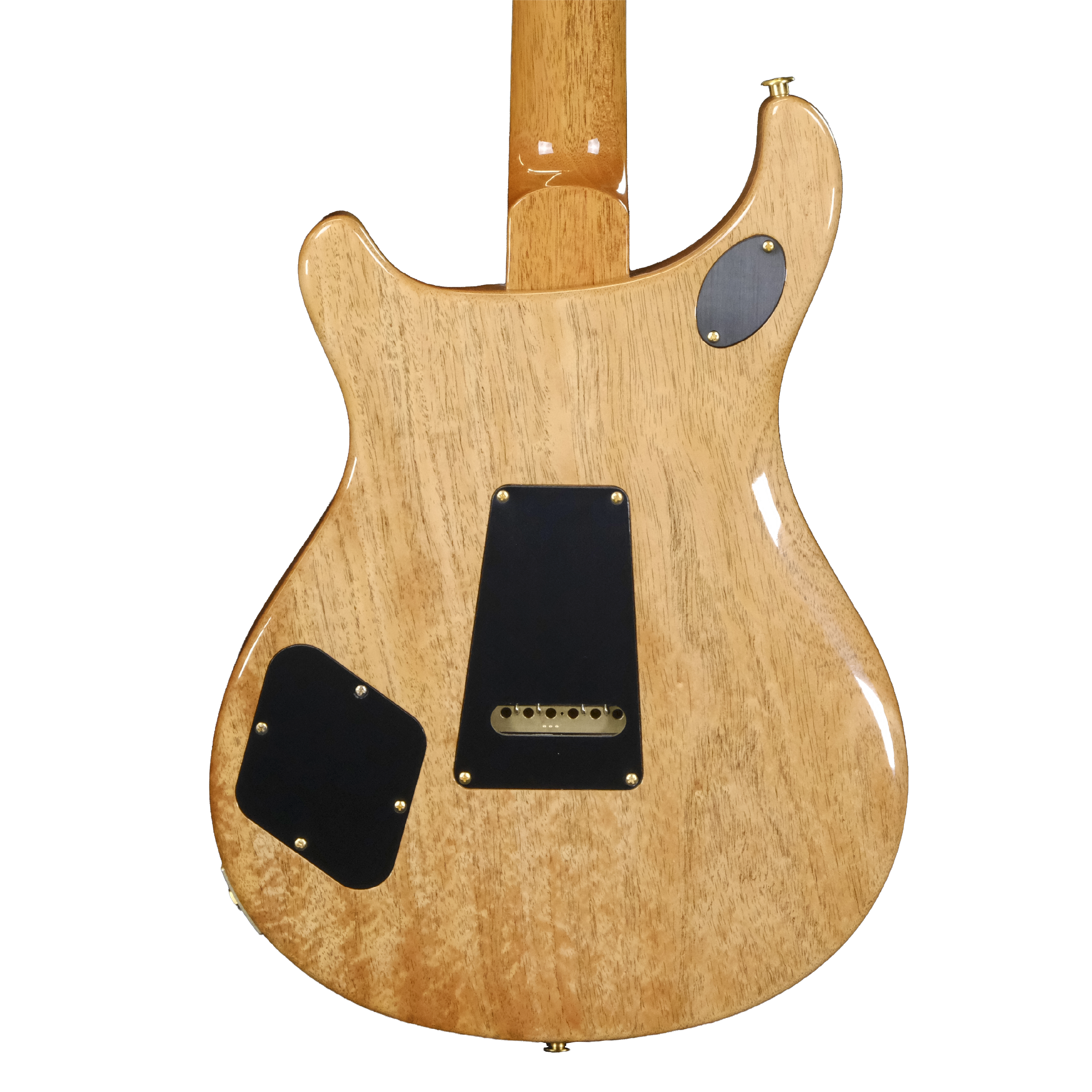 PRS Wood Library McCarty 594 Tremolo 10-Top - Laguna