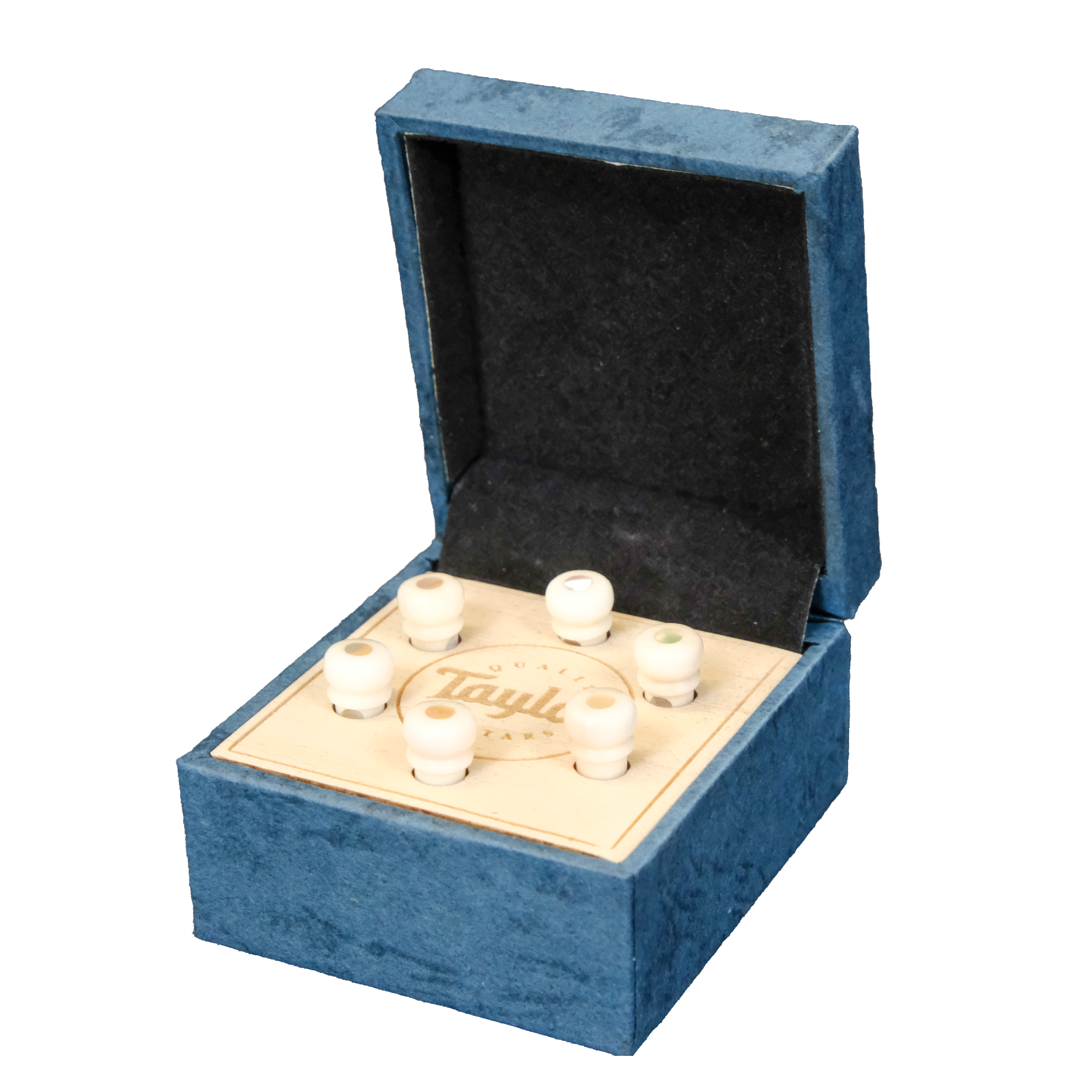 Taylor Water Buffalo Horn Bone Bridge Pin Set