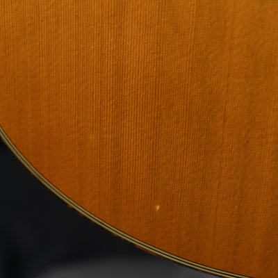 Takamine H5 Hirade Acoustic Guitar - Palen Music