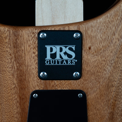 PRS CE 24 Electric Guitar - Eriza Verde - Palen Music