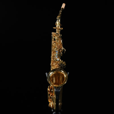 DEMO Cannonball ASCEP-L Sceptyr Semi-Pro Series Alto Saxophone - Gold Lacquer - Palen Music