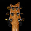 PRS Custom 24 Ten Top Electric Guitar - Yellow Tiger - Palen Music