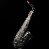 DEMO Cannonball GA5-SB Gerald Albright Signature Series Professional Alto Saxophone - Palen Music
