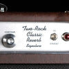 Two Rock Classic Reverb Signature 40/20-Watt Combo - Brown Ostrich - Palen Music