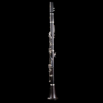DEMO Buffet E12F Professional Bb Clarinet - Palen Music