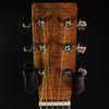 Martin D-X1E Koa Acoustic-Electric Guitar - Natural Koa - Palen Music