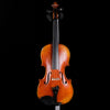 Canonici Royal Professional Violin Outfit 4/4 - MLS1350VN44