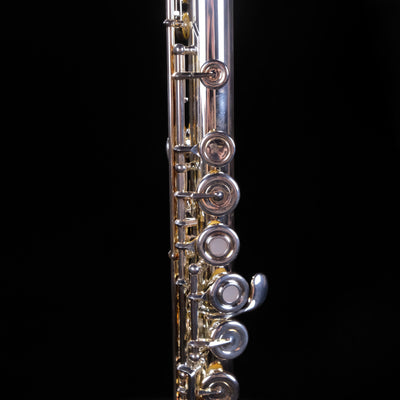 DEMO Selmer SFL511BO Professional Open Hole Flute -B foot, Offset-G - Palen Music