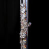 Wm. S. Haynes Amadeus Flute - AF680SEBO (Demo) - Palen Music
