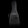 McPherson Honeycomb Top Carbon Touring Acoustic Guitar - Black Hardware - Palen Music