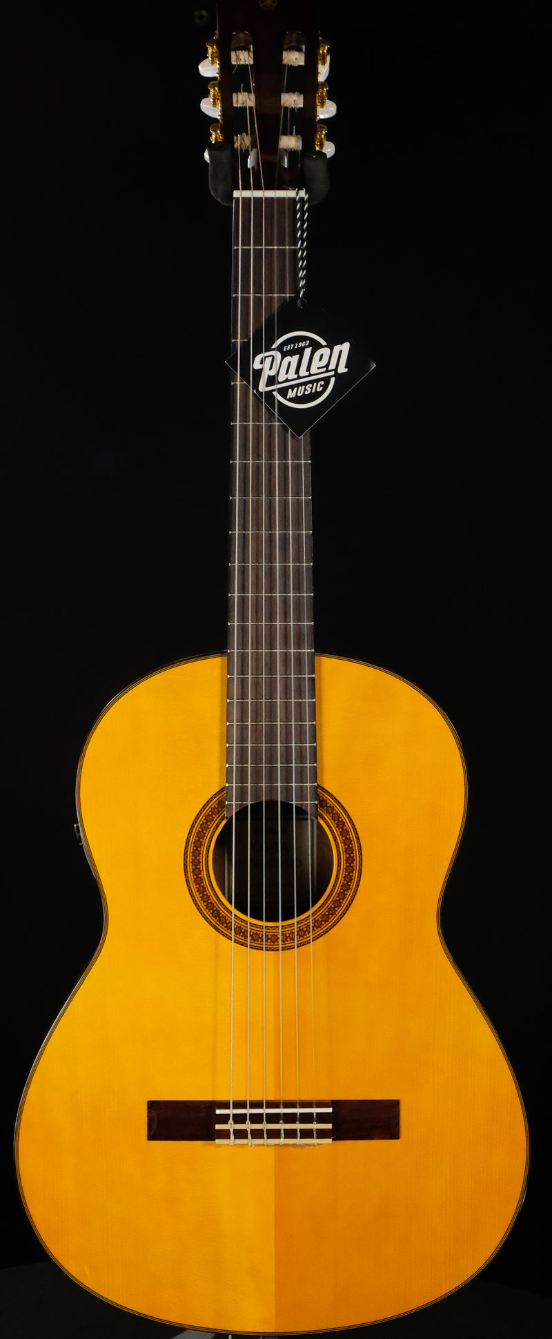 CG-TA TRANSACOUSTIC CLASSICAL ACOUSTIC GUITAR | Palen Music 