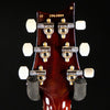 PRS DGT Electric Guitar with Bird Inlays - McCarty Tobacco Sunburst 10-Top - Palen Music
