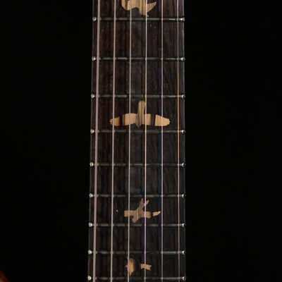 PRS Private Stock DGT Semi-Hollow - Pale Moon Ebony with Brazilian Rosewood Neck - Palen Music