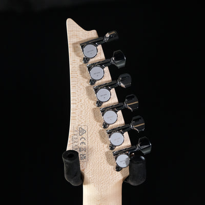 Ibanez JS3CR Joe Satriani Signature Electric Guitar - Palen Music