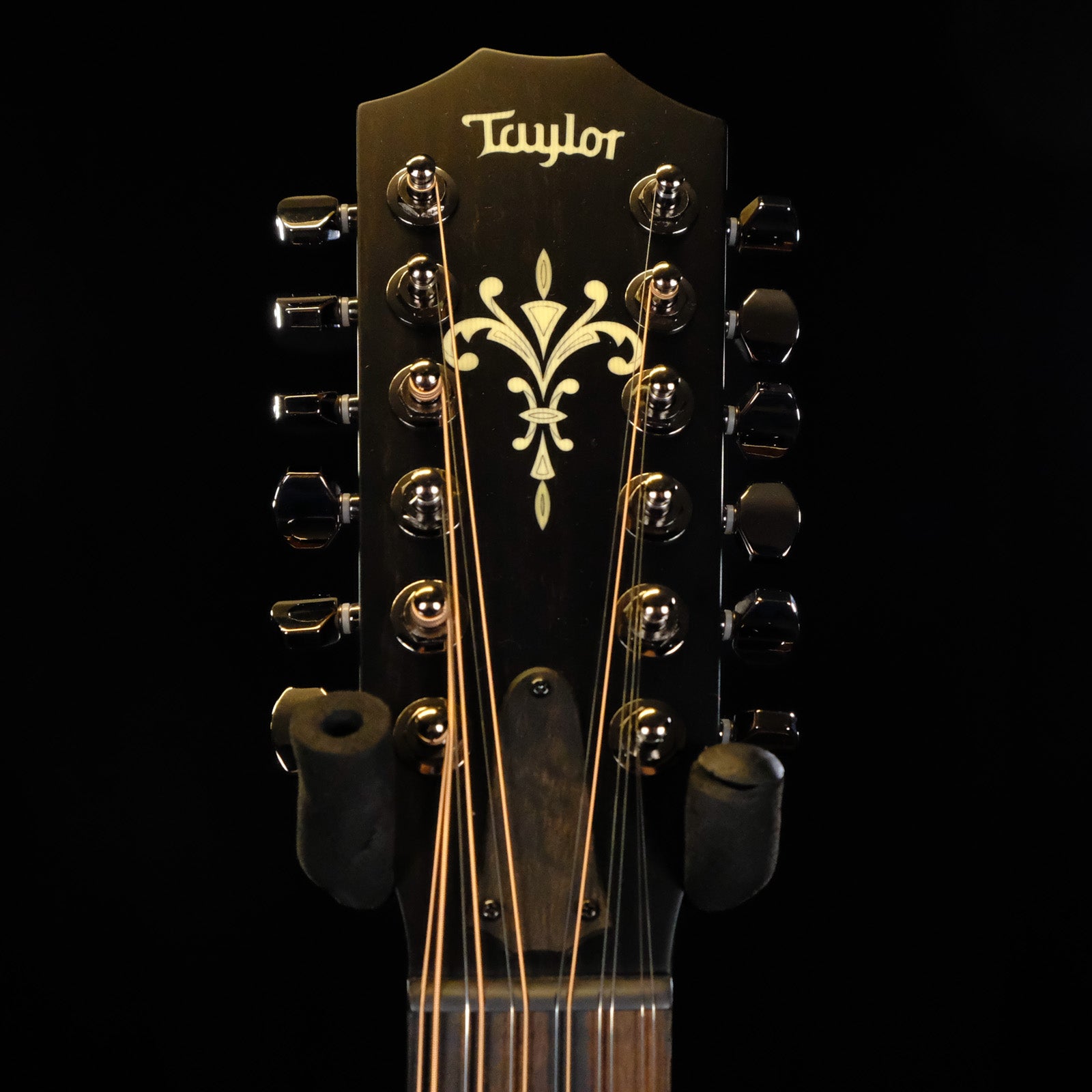 Taylor C14ce 12 String NAMM 2025 Custom #21 Grand Auditorium - Mahogany/Torrefied Sitka