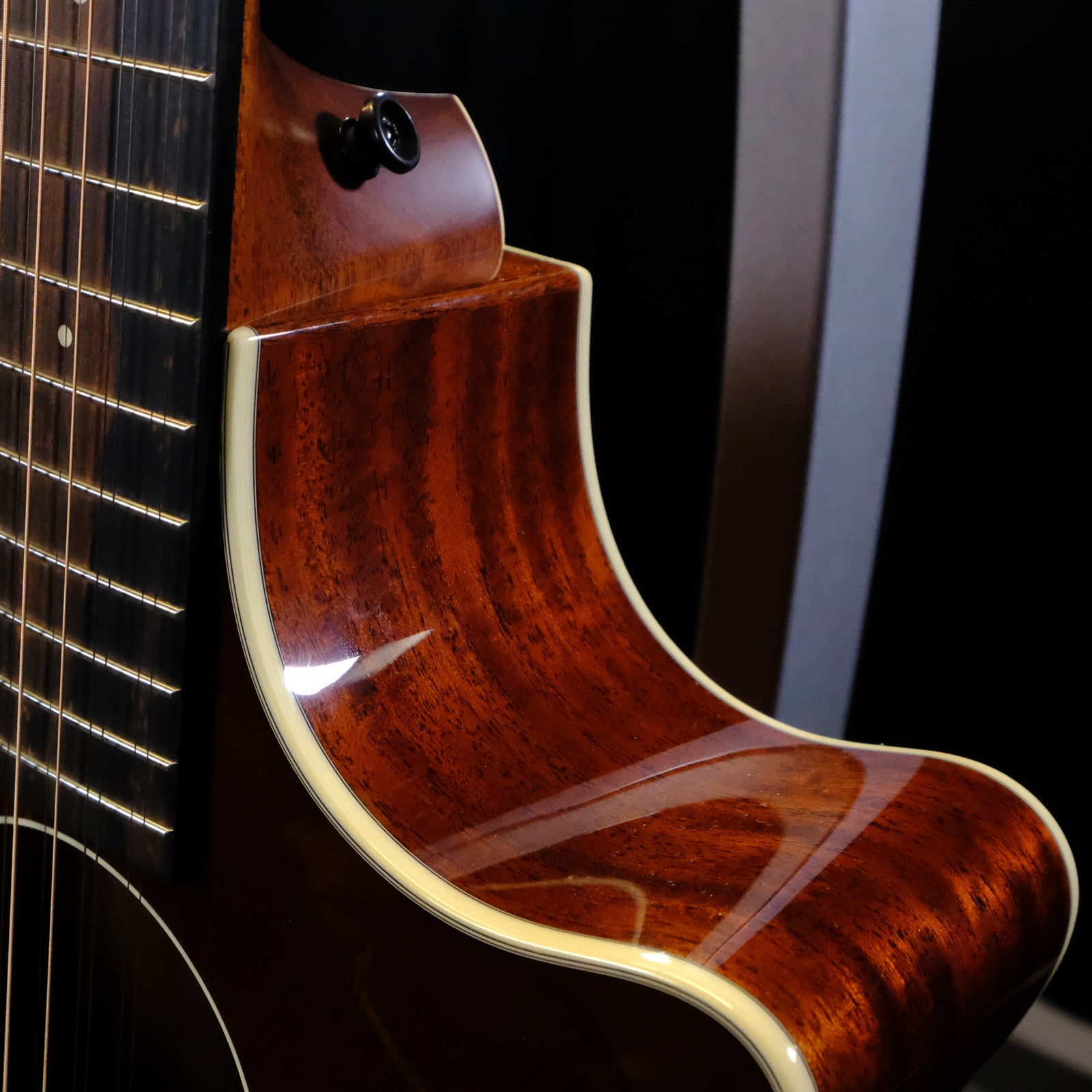 Taylor C14ce 12 String NAMM 2025 Custom #21 Grand Auditorium - Mahogany/Torrefied Sitka