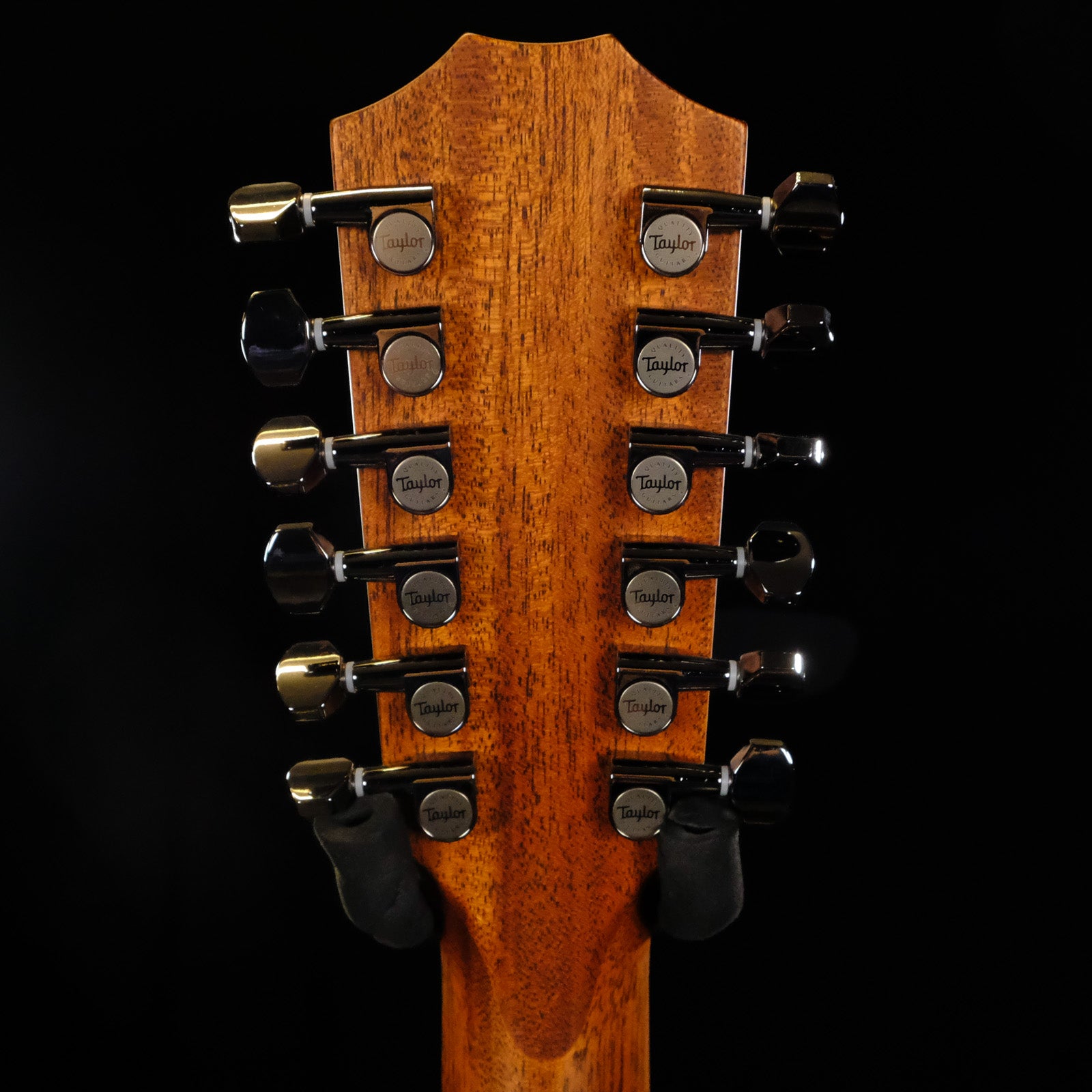 Taylor C14ce 12 String NAMM 2025 Custom #21 Grand Auditorium - Mahogany/Torrefied Sitka