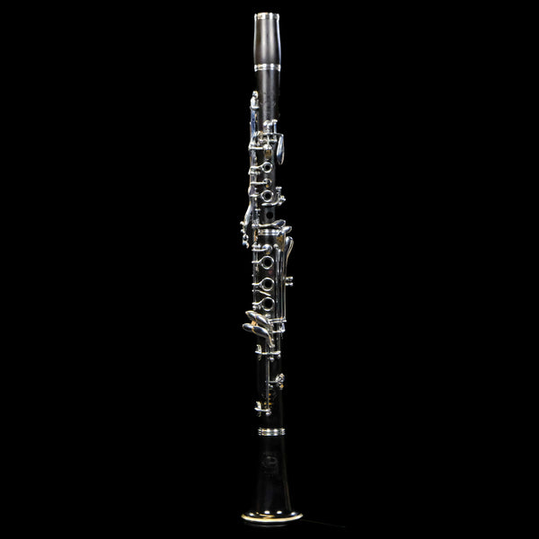 DSF7445_grande.jpg?v=1744751235