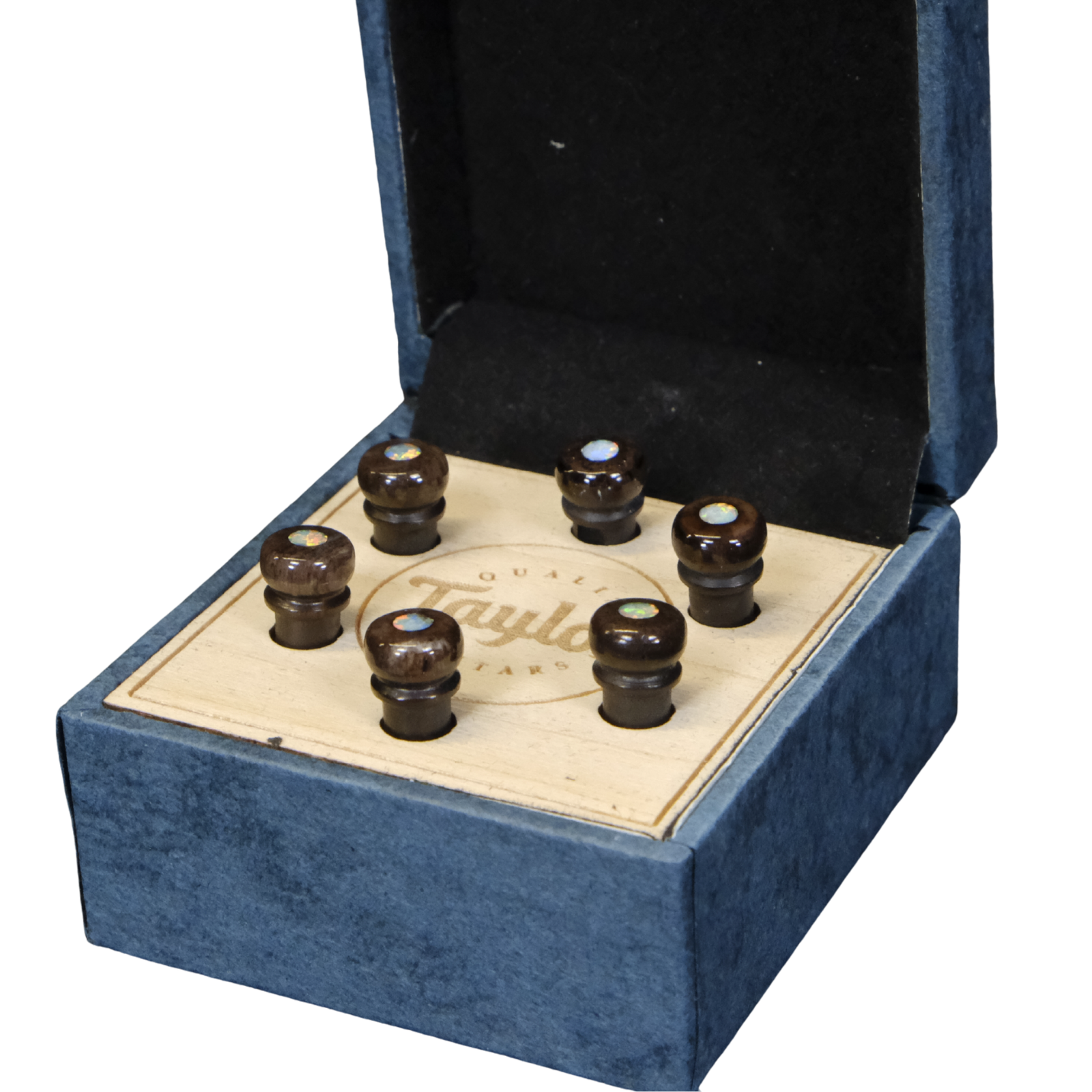 Taylor Water Buffalo Horn Bone Bridge Pin Set