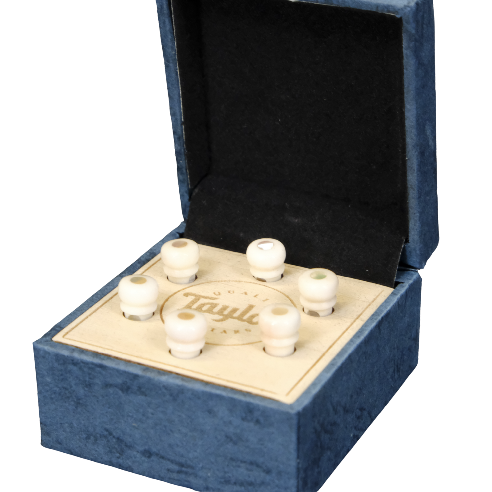 Taylor Water Buffalo Horn Bone Bridge Pin Set