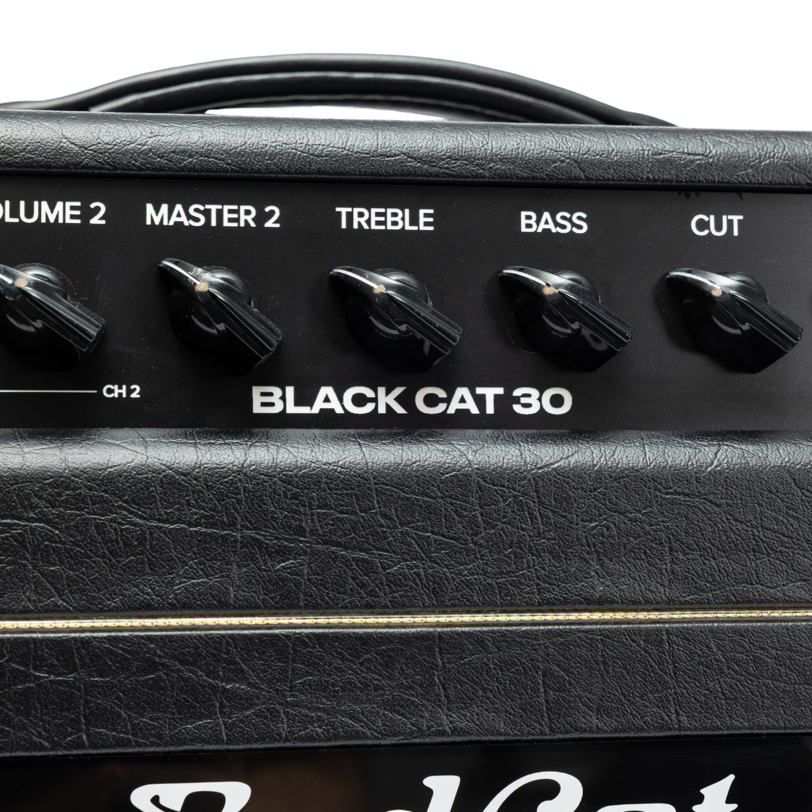 Bad Cat Mod Shop Black Cat 30 Head (Mark Sampson Mod)
