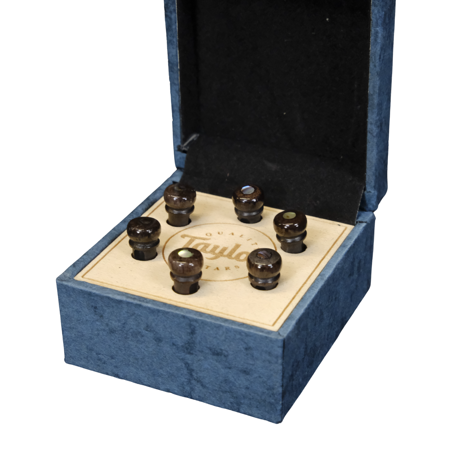 Taylor Water Buffalo Horn Bone Bridge Pin Set