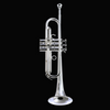 Schilke Custom Series Bb Trumpet Large Bore Silver - X3 - Palen Music
