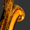 DEMO Rampone & Cazzani Performance Series Baritone Saxophone - RCPBSL - Palen Music