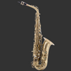 Chateau Alto Saxophone Chambord 50 Series (Antique) - CAS50AN