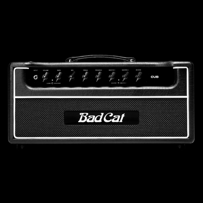 Bad Cat Cub 30 Watts Head - Palen Music