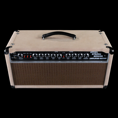 Amplified Nation Steel String Singer 100 Watt Head and Cabinet - Dogwood Suede with Oxblood/Gold Stripe Grill - Palen Music