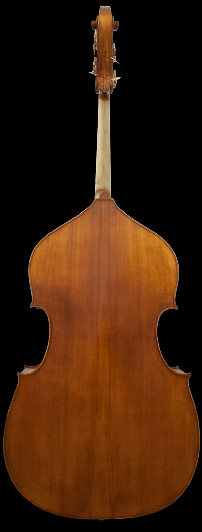 Canonici Strings Apprentice Model 136 Bass - Palen Music