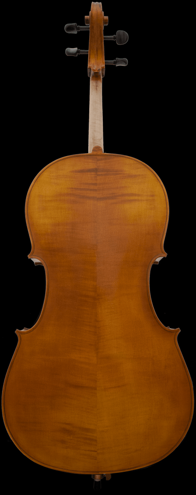 Canonici Strings Apprentice Model 136 Cello - Palen Music