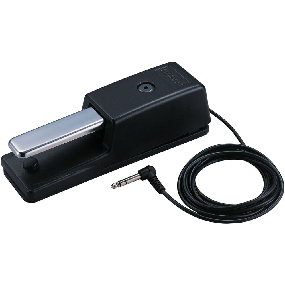 Roland DP-10 Deluxe Sustain Pedal - Palen Music